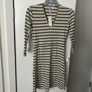 NWT Francesca’s Fit and Flare Striped Dress